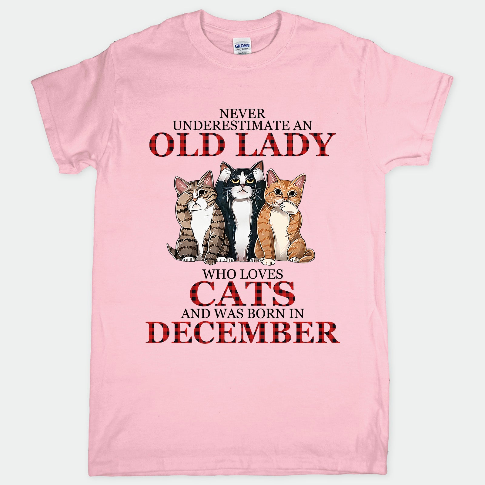 Cat Old Lady December
