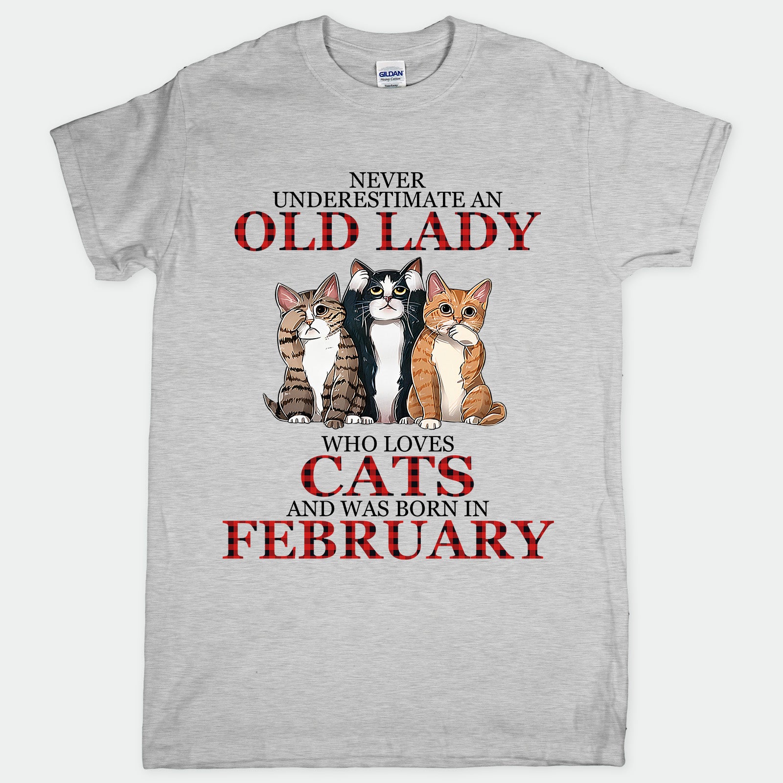 Cat Old Lady Feb