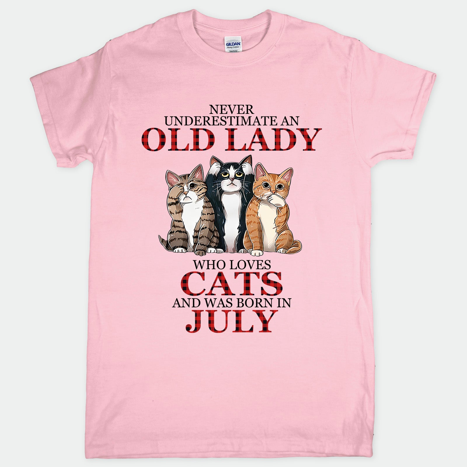 Cat Old Lady July