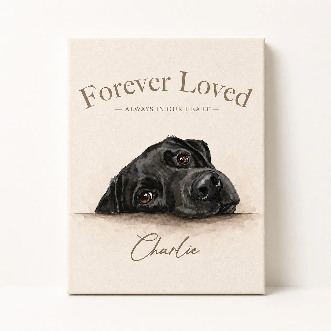 Black Labrador Face Framed Canvas 3:4