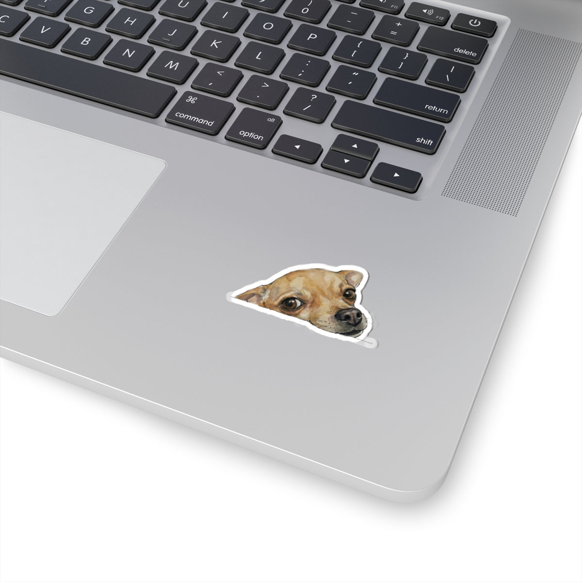 Chihuahua Peeking Sticker