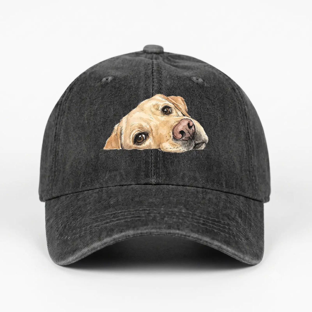 Labrador Face Washed Denim Baseball Cap