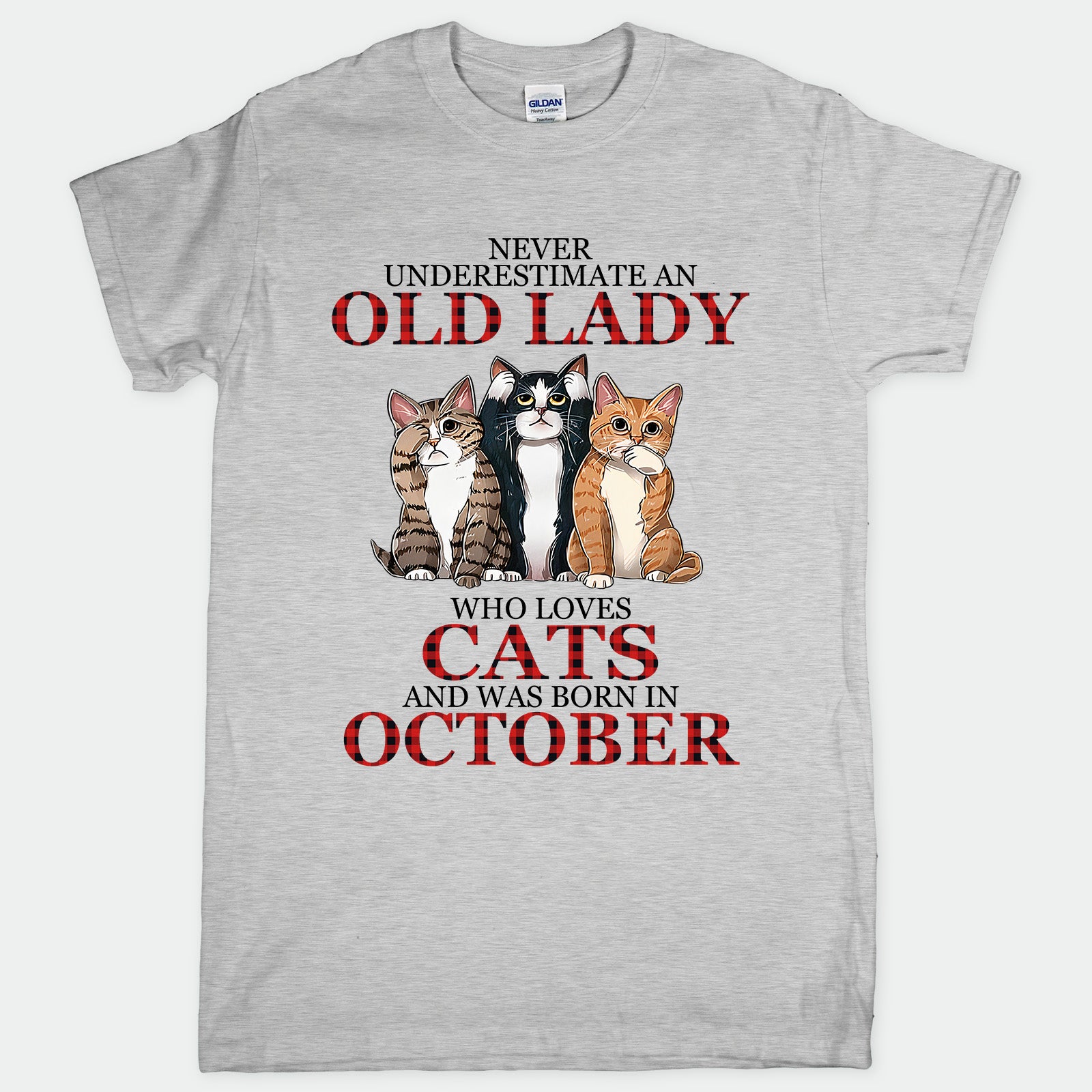 Cat Old Lady October