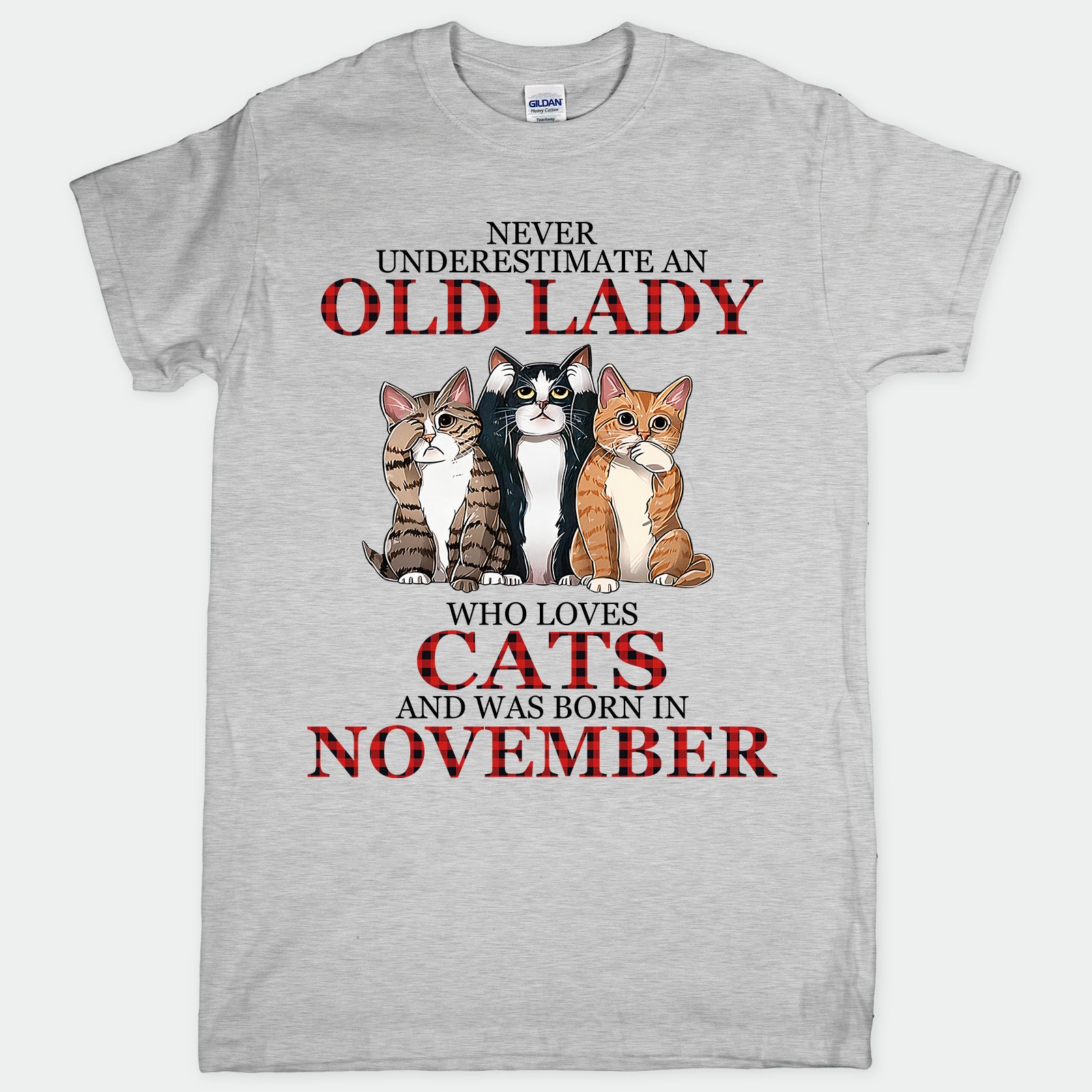 Cat Old Lady November