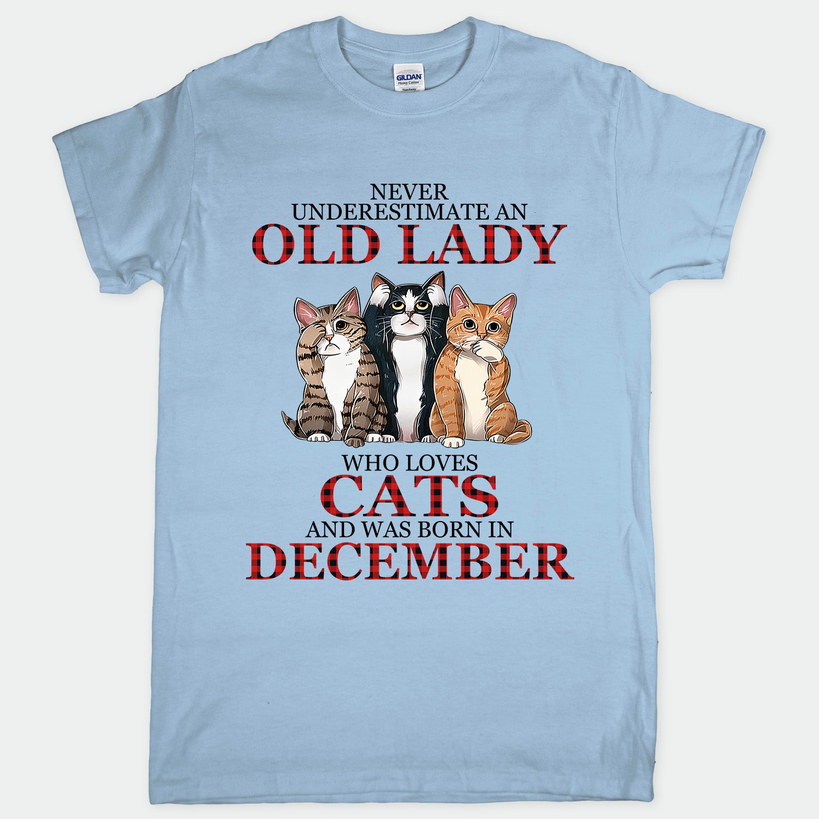 Cat Old Lady December