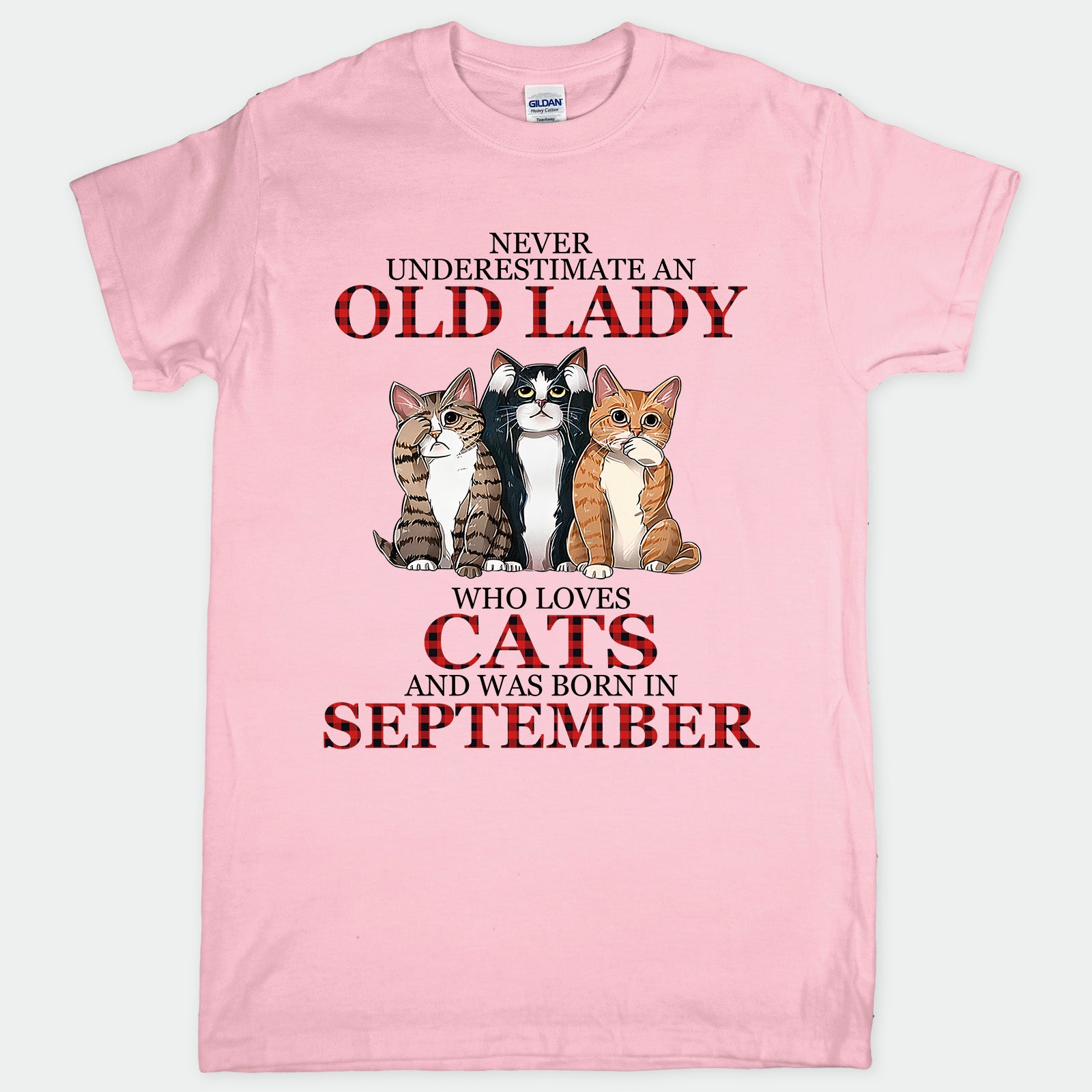 Cat Old Lady September