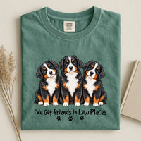 Bernese Mountain - I've Got Friend In Low Places Color Unisex T-shirt