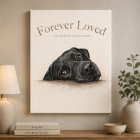 Black Labrador Face Framed Canvas 3:4