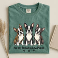 Boston Terrier - I've Got Friends in Low Places Comfort Color Unisex T-shirt