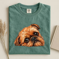 Brussels Griffon Face Comfort Color T-shirt 2