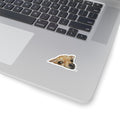 Chihuahua Peeking Sticker
