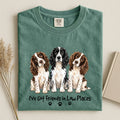 English Springer Spaniel - I've Got Friend In Low Places Color Unisex T-shirt