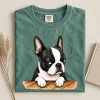 Grumpy Boston Terrier Comfort Color Unisex T-shirt
