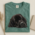 Newfoundland Face Comfort Color T-shirt