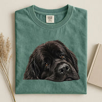 Newfoundland Face Comfort Color T-shirt