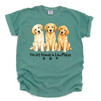 Golden Retriever - I've Got Friend In Low Places Color Unisex T-shirt