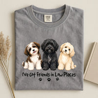 Havanese - I've Got Friends in Low Places Comfort Color Unisex T-shirt